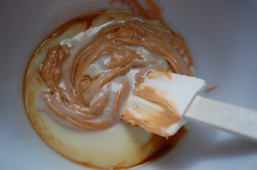 Mixing the chips, sweetened condensed milk, and vanilla